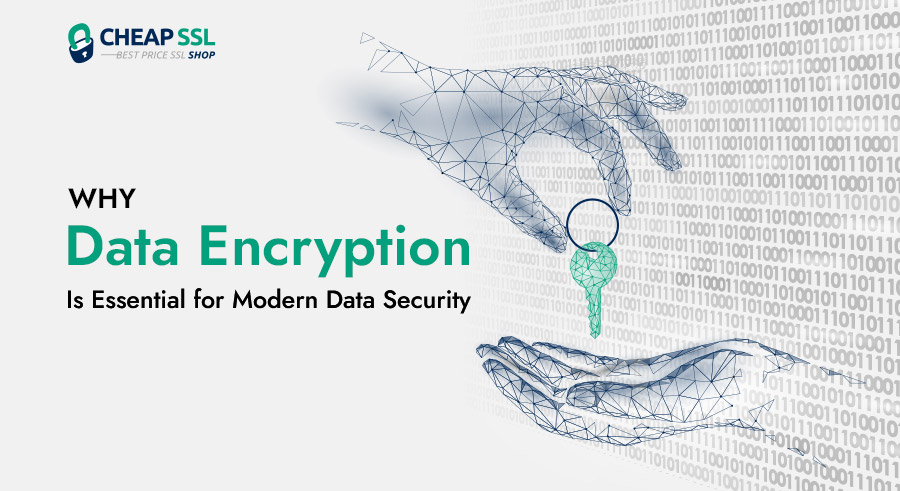What is Data Encryption: The Comprehensive Guide for Data Security