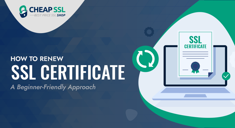 How to Renew SSL Certificate: A Beginner-Friendly Approach